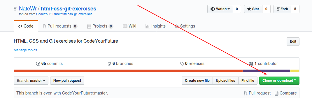 Screenshot showing the clone details