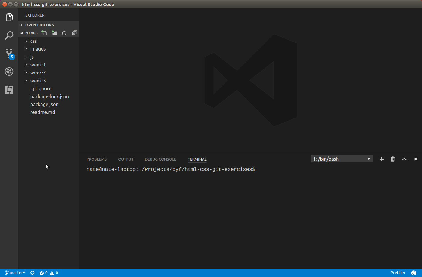 Screenshot showing the project open in your editor